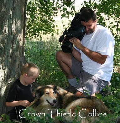 Reading with a Collie dog