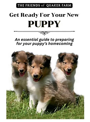 Excellent New Puppy Book