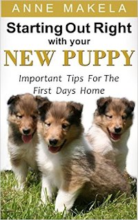 Starting Out Right With Your New Puppy